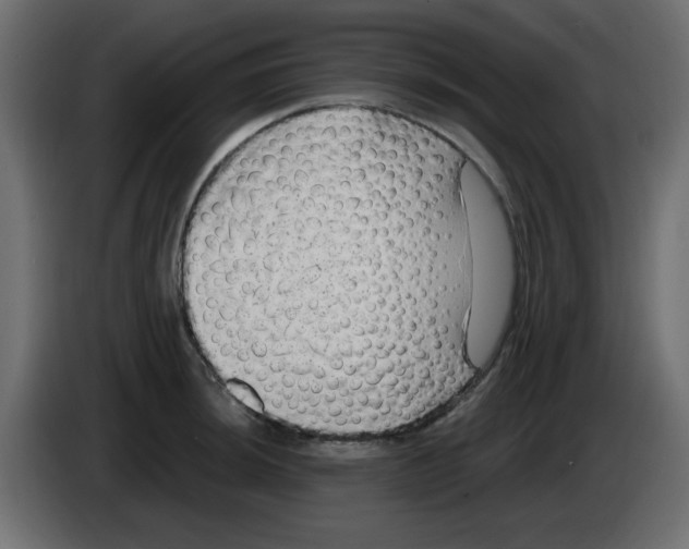 X0000084601044200703231922