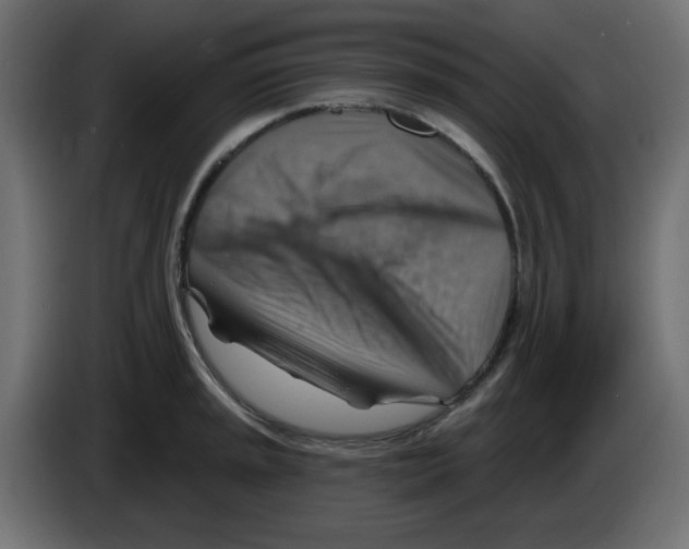 X0000084601045200703231922