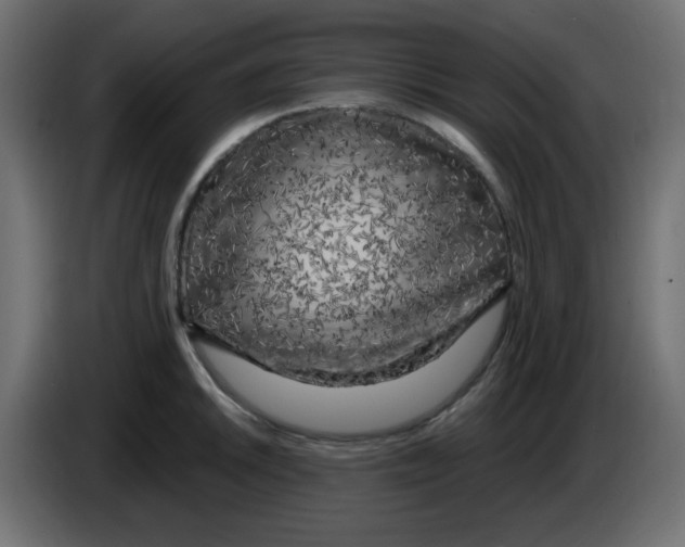 X0000084601046200703231922
