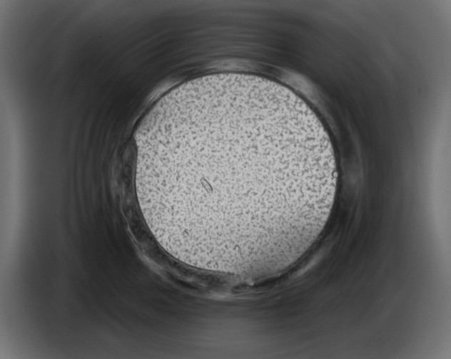 X0000084601049200703231922