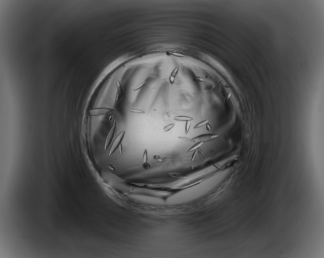 X0000084601050200703231922