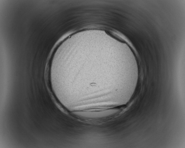 X0000084601053200703231922