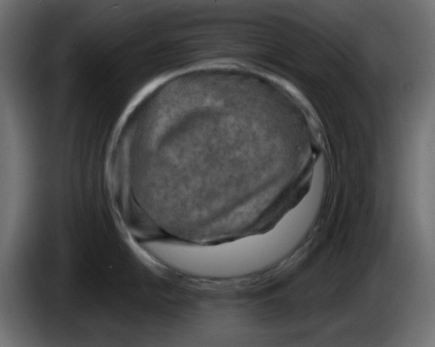 X0000084601054200703231922