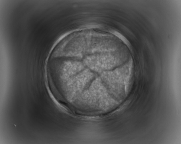 X0000084601055200703231922