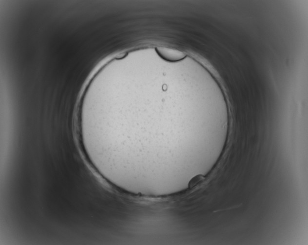 X0000084601056200703231922