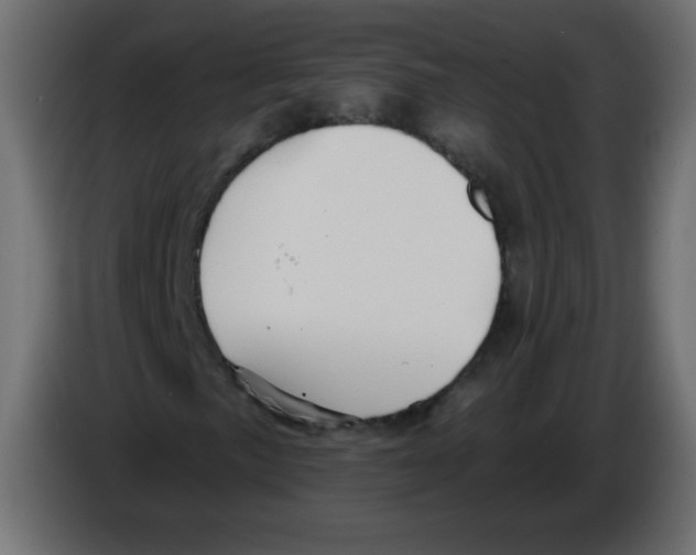 X0000084601057200703231922