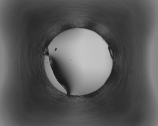 X0000084601058200703231922