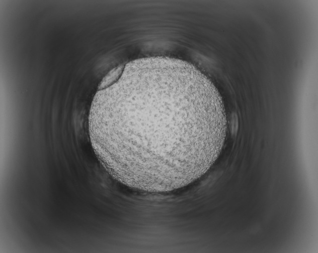 X0000084601059200703231922