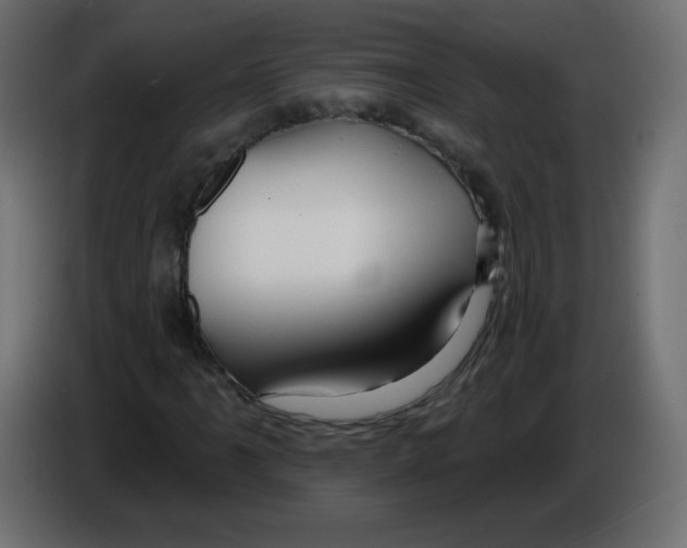 X0000084601061200703231922