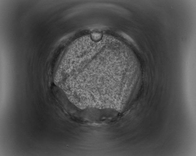 X0000084601063200703231922