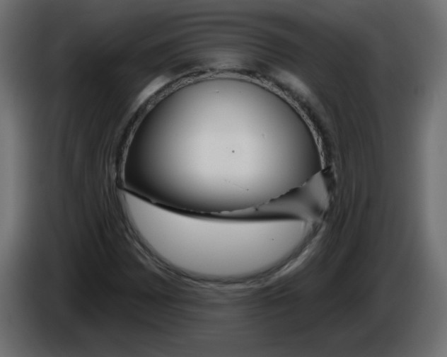 X0000084601065200703231922