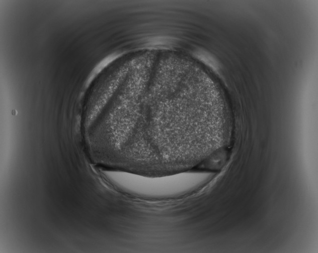 X0000084601066200703231922