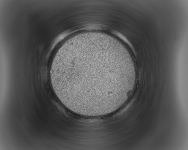 X0000084601067200703231922