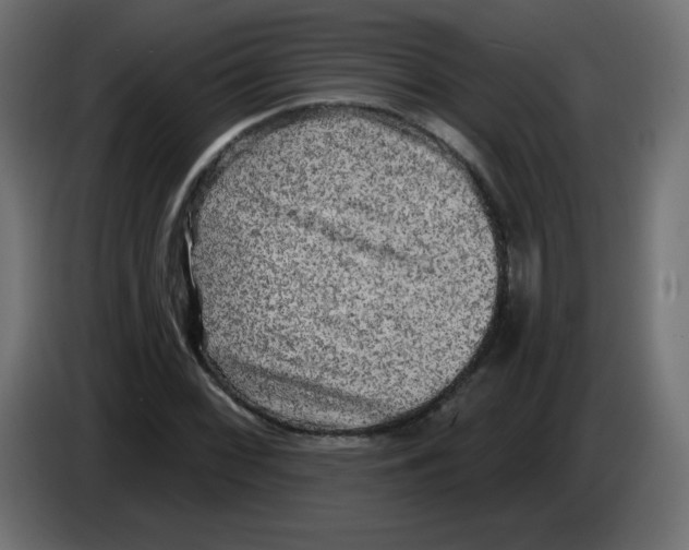 X0000084601068200703231922