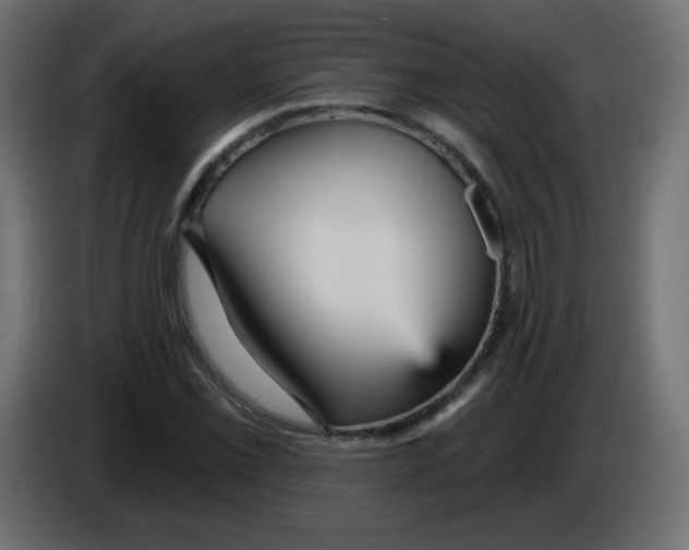 X0000084601069200703231922