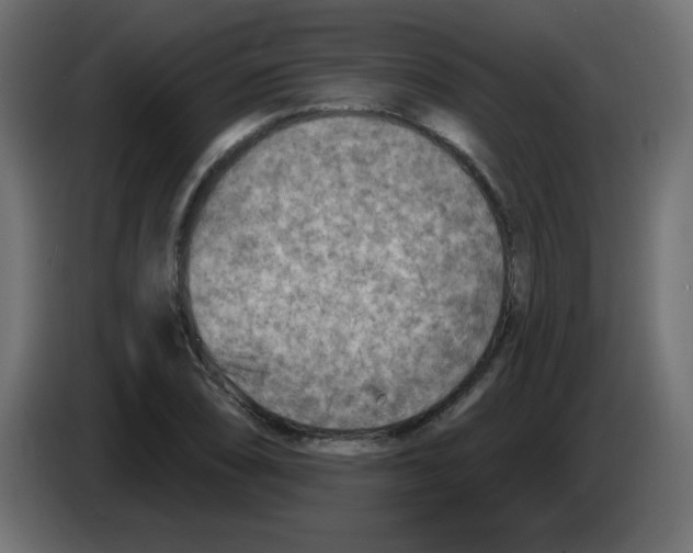 X0000084601074200703231922