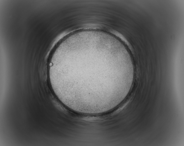 X0000084601075200703231922