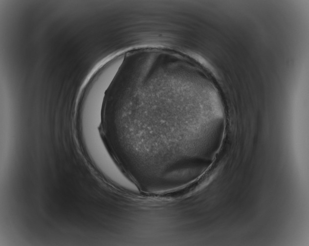 X0000084601077200703231922