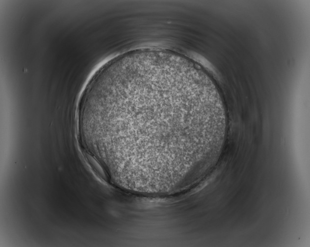 X0000084601079200703231921