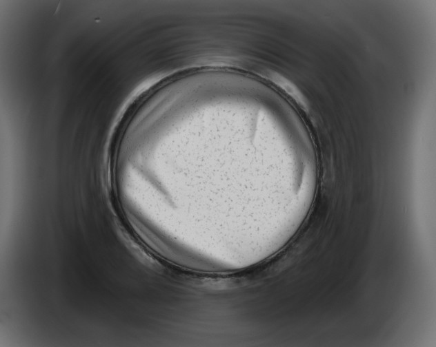 X0000084601080200703231921