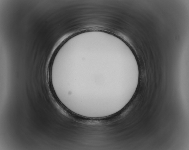 X0000084601082200703231921