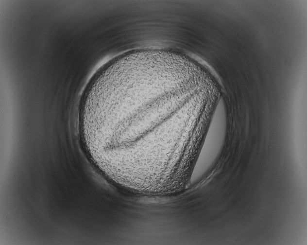 X0000084601083200703231921