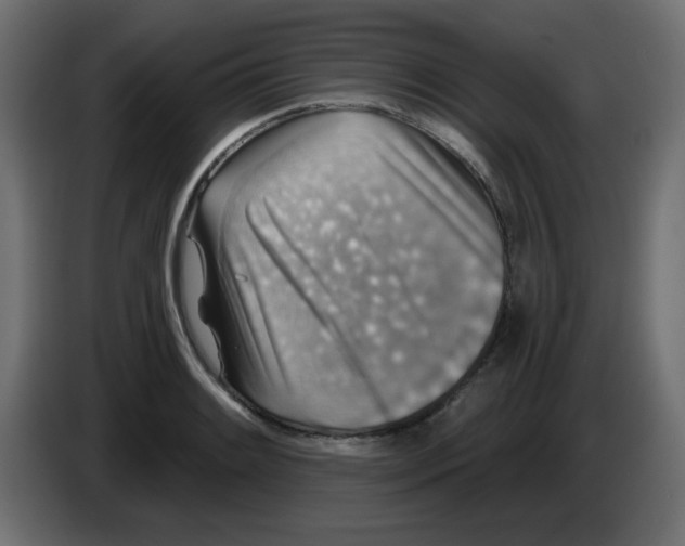 X0000084601084200703231921