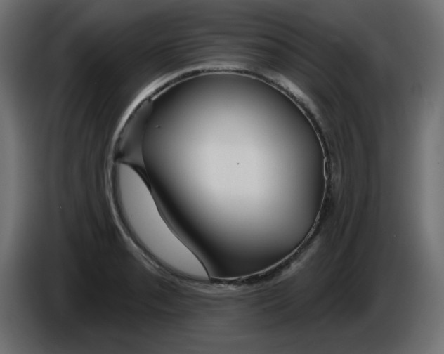 X0000084601085200703231921