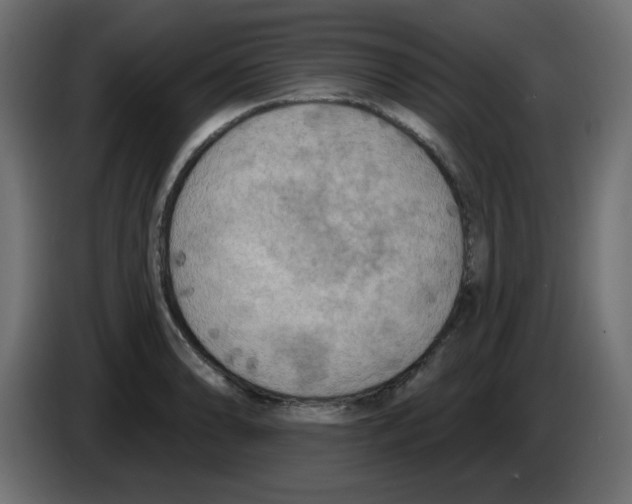 X0000084601086200703231921