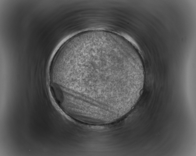 X0000084601088200703231921