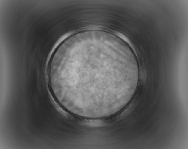 X0000084601090200703231921