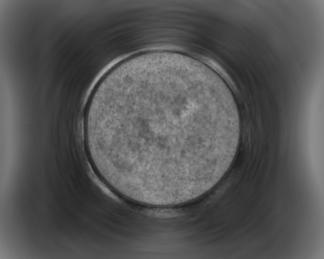 X0000084601092200703231921