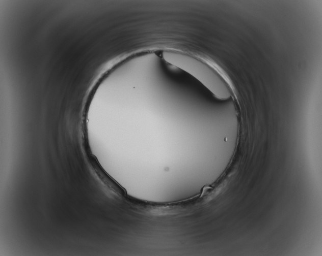 X0000084601093200703231921