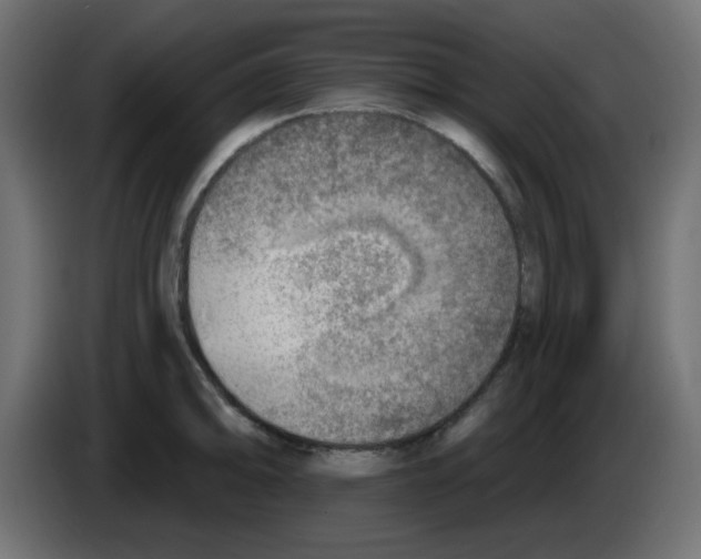 X0000084601094200703231921