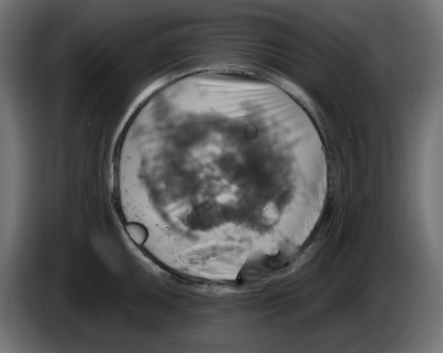 X0000084601095200703231921