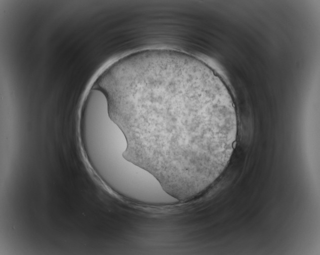 X0000084601096200703231921