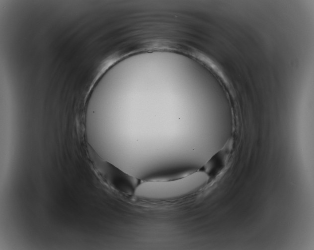 X0000084601097200703231921