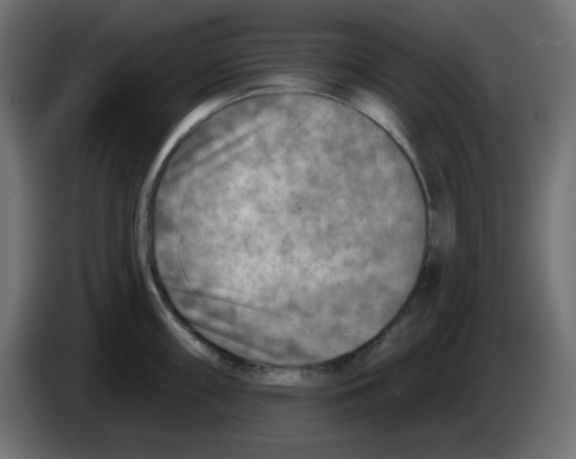 X0000084601098200703231921