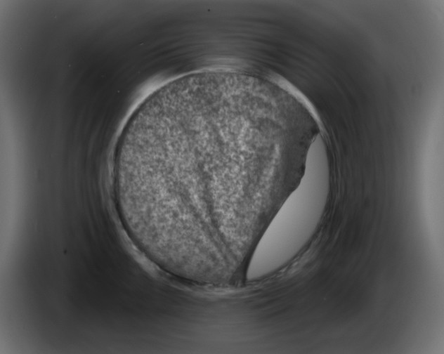 X0000084601099200703231921