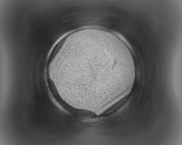 X0000084601100200703231921