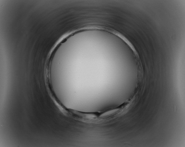 X0000084601101200703231921