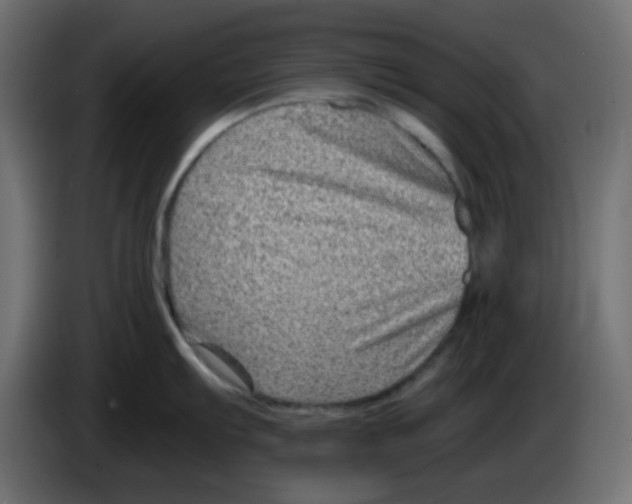 X0000084601103200703231921