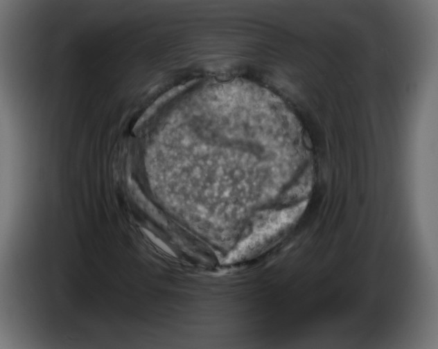 X0000084601106200703231920