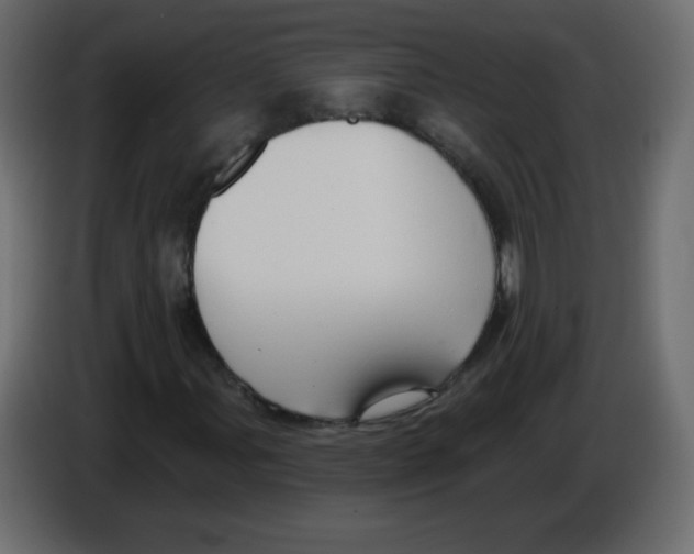 X0000084601107200703231920