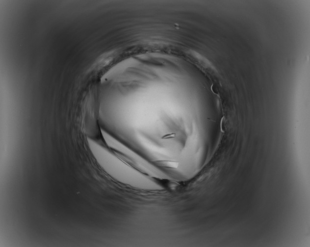 X0000084601110200703231921