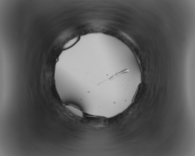 X0000084601111200703231921