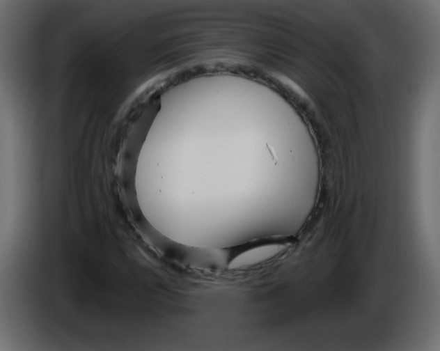 X0000084601112200703231921