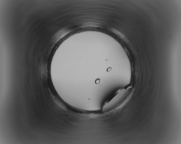 X0000084601113200703231921