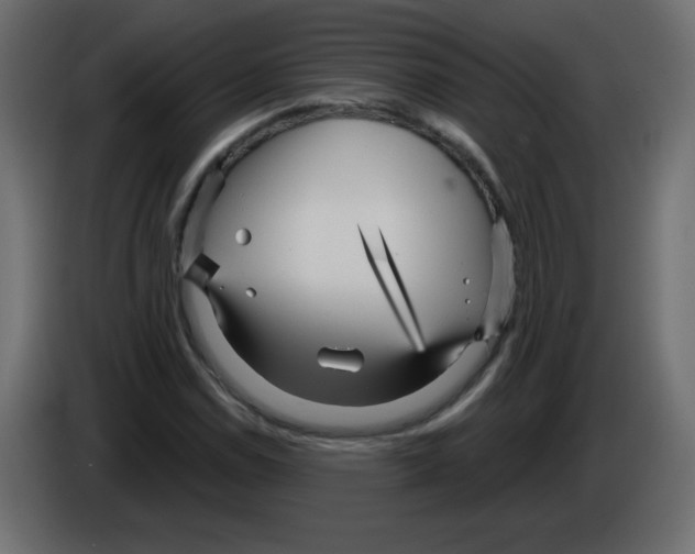X0000084601114200703231921