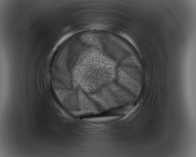 X0000084601115200703231921